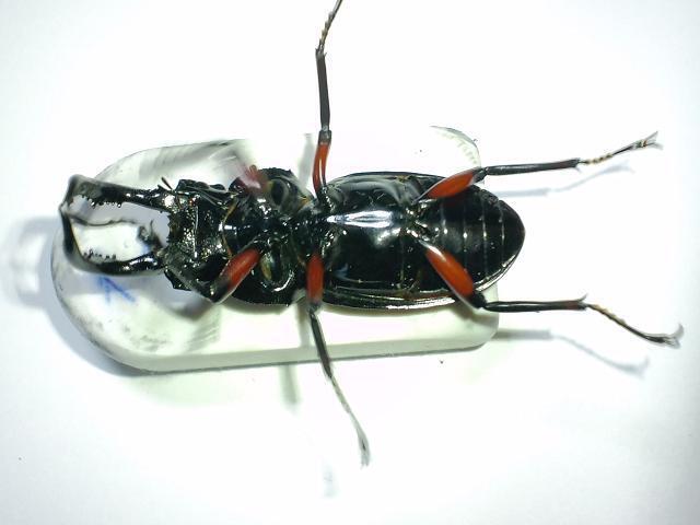 2010 06 02_1141.JPG