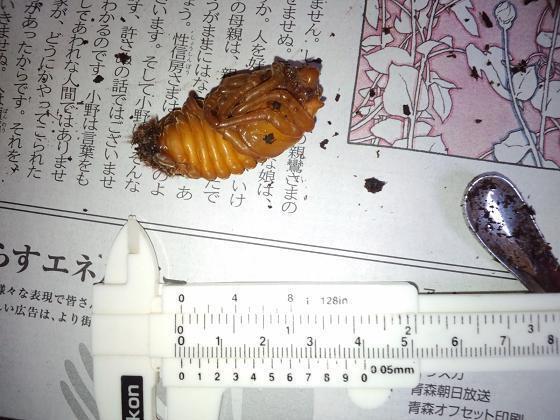 2011 10 26_2323.JPG