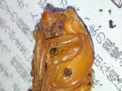 2011 10 26_2324.JPG