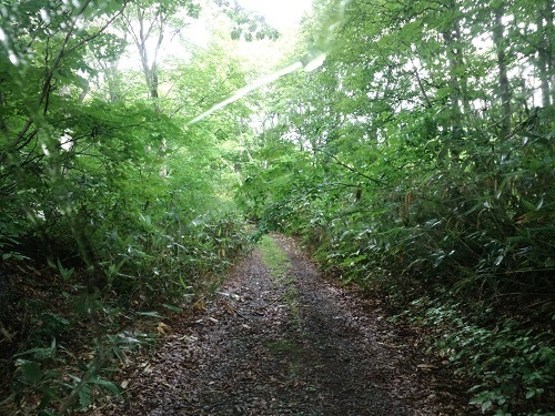 CA3I0787.JPG