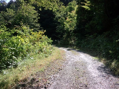 CA3I0883.JPG