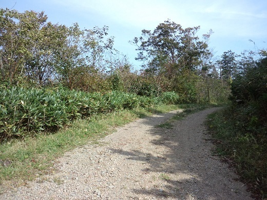 CA3I0890.JPG