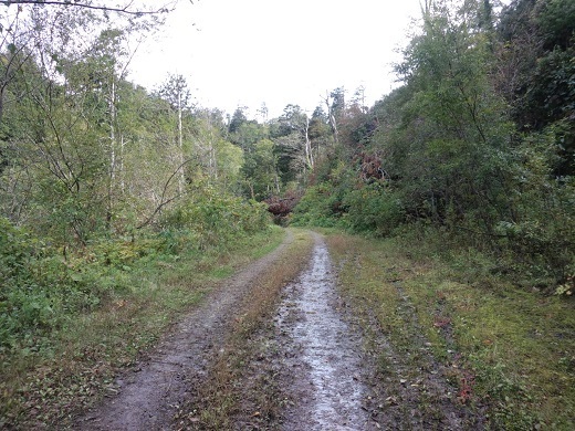 CA3I0894.JPG