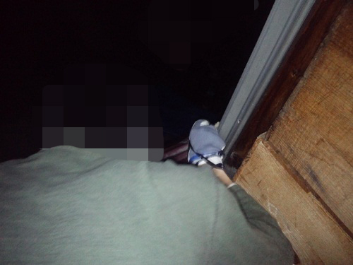 ハチ退治１.JPG