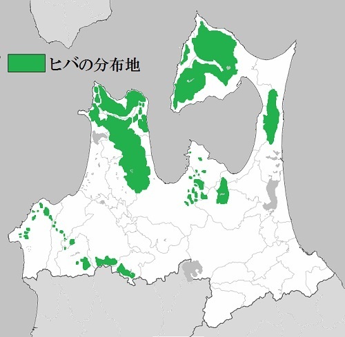 ヒバの分布.jpg