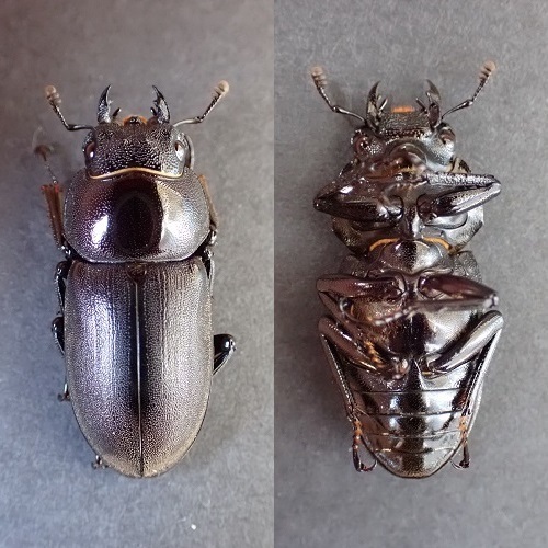 PA140628.JPG