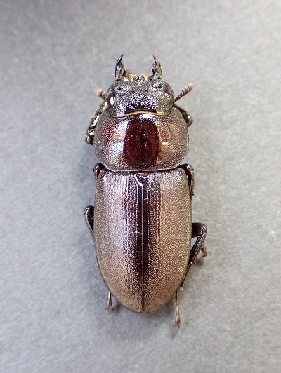 PA140654.JPG