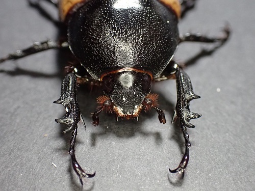 PA250759.JPG