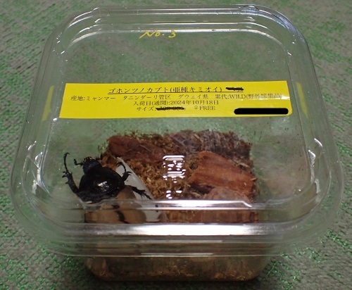 PA250760.JPG