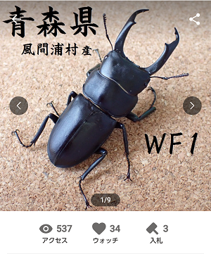 Screenshot_20241114-211715_2.png