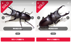 Screenshot_20241208-204727.png