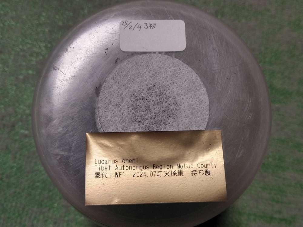 KIMG0599.JPG