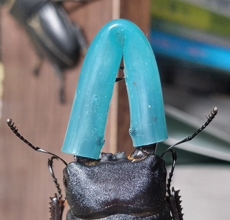 KIMG8533.JPG