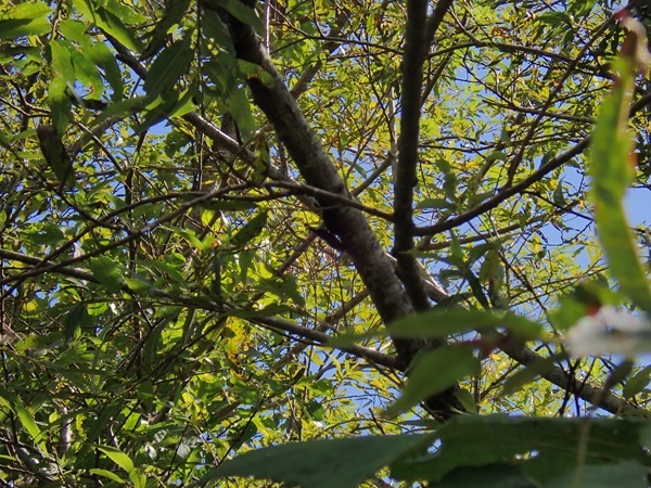 P9231434.JPG